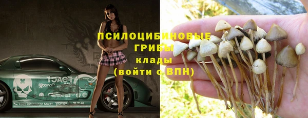 сатива Верхнеуральск
